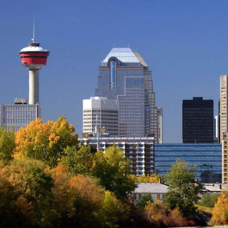 HealthyCalgary