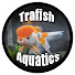 ev8fhz4_aXA-channel-avatar-Travis Stevens