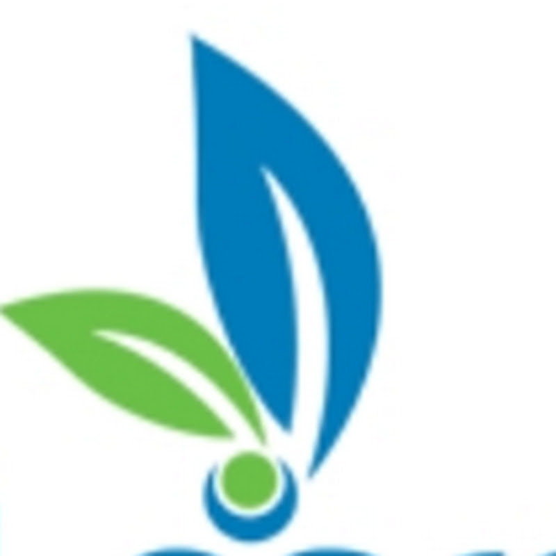 Vlearn LMS