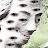 @joelandersmith2735's avatar