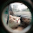 @지깡과고양이