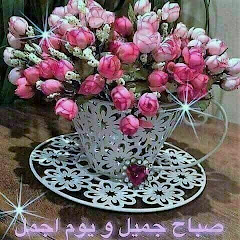 دبرى ووفرى مع أم زياد