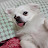 @성순주-e8g
