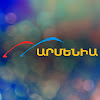 What could Armenia TV buy with $1.1 million?