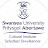 Cultural Institute - Swansea University