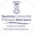 9B_H6cI-AhI-channel-avatar-Cultural Institute - Swansea University
