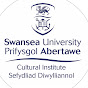 Cultural Institute - Swansea University logo
