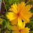 @user-xw5bw4ft3g