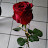 avatar of @asmaame447