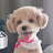 @5seungmi