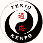 TEKIO KENPO ACADEMY ! logo