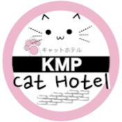 รับฝากแมว โรงแรมแมว KMP Cat Hotel