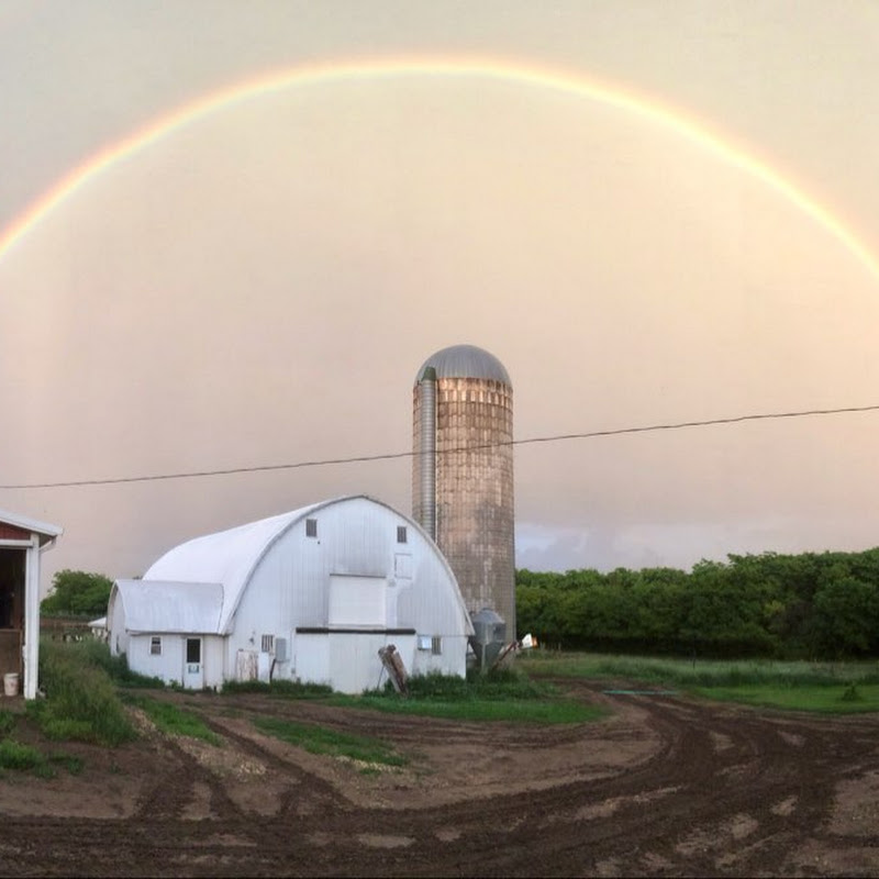 Organic Dairyman