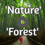 Nature n Forest logo