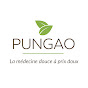 Pungao logo
