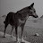 @peterkarlsson1825 Avatar