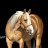 Littlefield Equine Photography