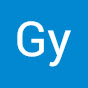 Gyula Rajnai logo