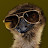@zipit1984 Avatar