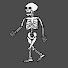 rmht42iboYQ-channel-avatar-XrayImagingLady