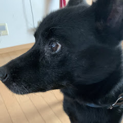 わくどん