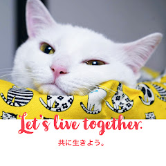 一般社団法人 ねこ99福岡アイコン画像