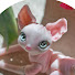m3AVMRg89pI-channel-avatar-Arida Bjd