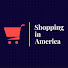 TE6LcLSdalY-channel-avatar-Shopping And Cooking In America