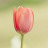 @user-fb8kz5qz4v