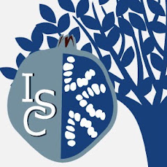 Institute of Israel Studies (IIS)
