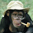 @floydherring2451's avatar