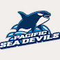 Pacific Coast Hockey Academy (PCHA) logo
