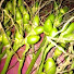 7vjFry5FaXg-channel-avatar-Phina Yaromal