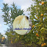 5PjXQQS12k4-channel-avatar-Abdelkarim Assermouh