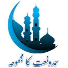 Shahid Imran Arfi Official net worth