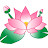 @TV-ht1lp