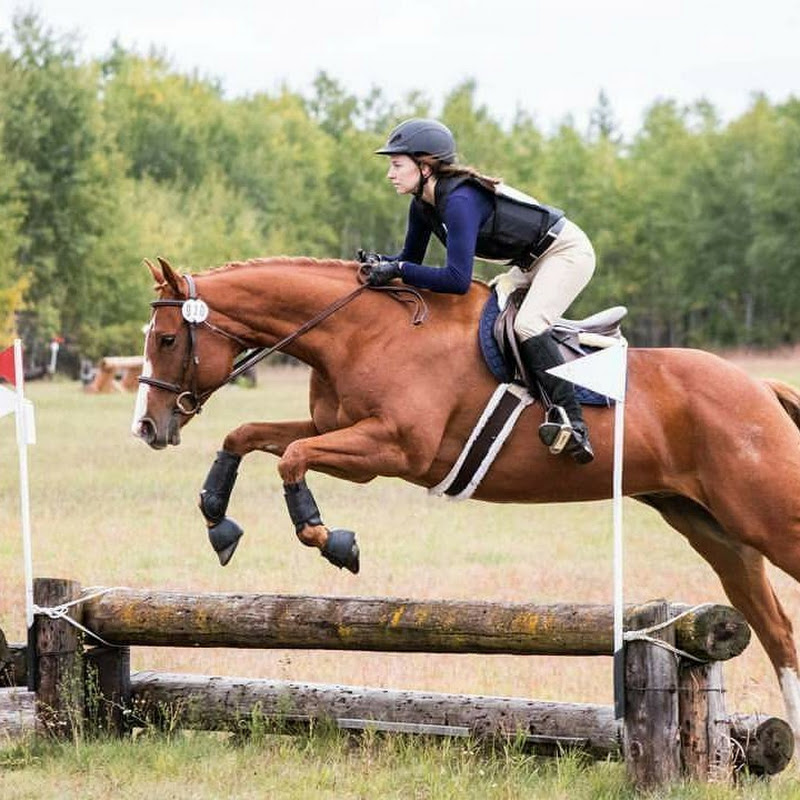 horselover55255
