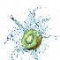 J6AOM6WeVxI-channel-avatar-whodroppedthefruit