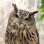 @333amal333