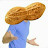 Peanut