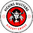 Cbgsm-m_Mcg-channel-avatar-kickingmustang