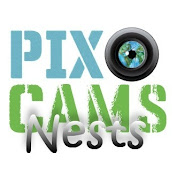 PixCams Nest Boxes