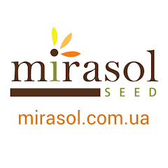 Mirasol Seed
