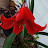 @user-tx8wh8bw9y