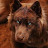 @Yipppppeeeeee's avatar