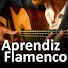 G04MujMHzF8-channel-avatar-Aprendiz Flamenco