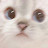 @user-nyaang