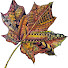gEXXbp2WSQo-channel-avatar-Botangle