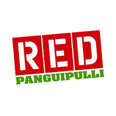 Логотип каналу RedPanguipulli Noticias de Panguipulli