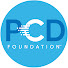 WUGizp7-Fts-channel-avatar-PCD Foundation